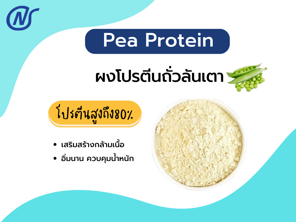 Pea Protein